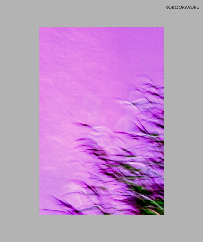 -05-0154-Grass Flies Like Birds