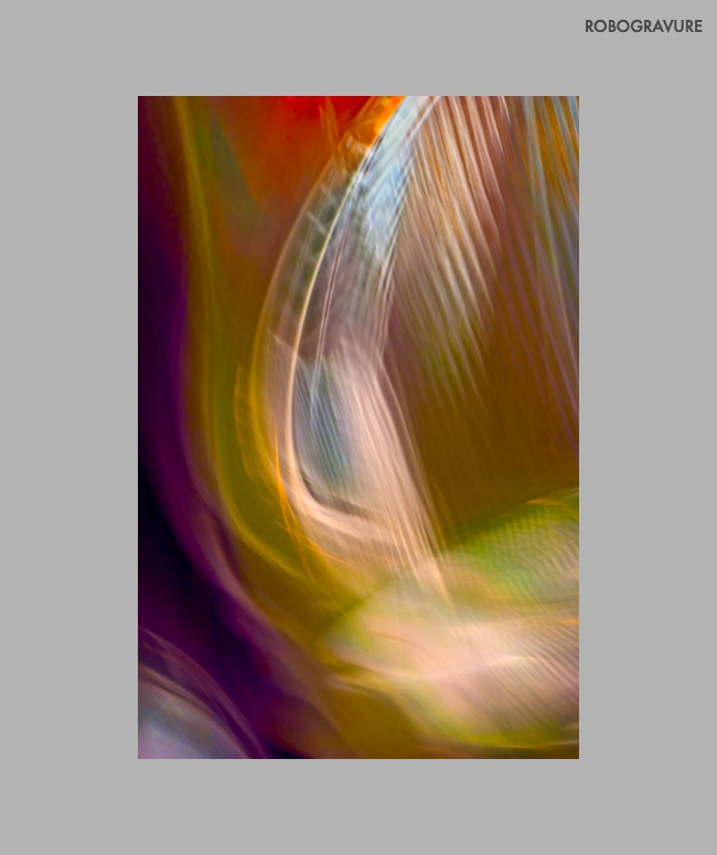 -14-3922-Fish Dream | Coy Koi