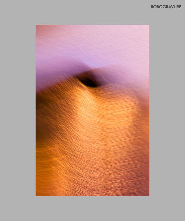 -15-6709-Up In The Hayloft