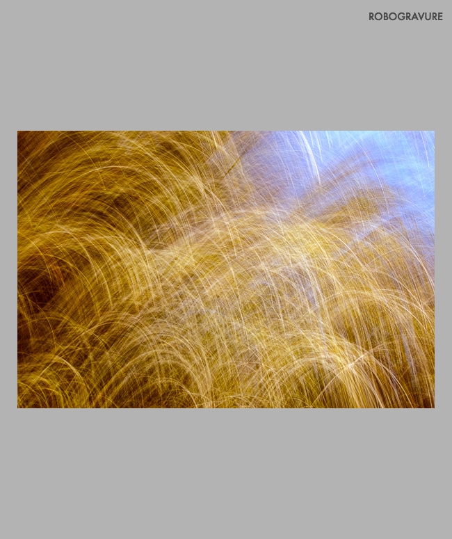 -31-0906-Scrafito in Hay